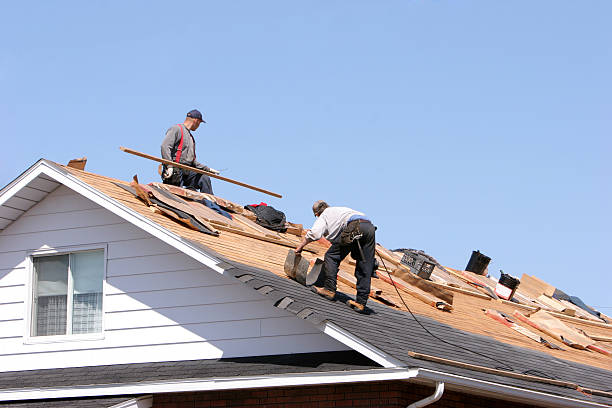 Best Roof Insulation Installation  in Hinton, OK